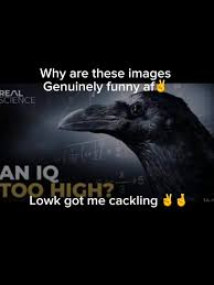 An IQ Too Low Meme, Explained