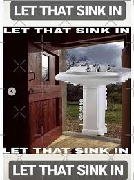 Let That Sink In Meme, Explained