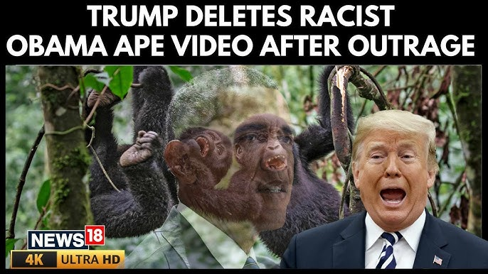 'Obama Ape' Meme, Explained