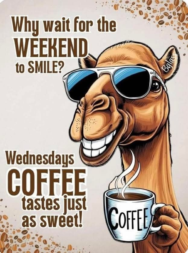 Wednesday Coffee Meme, Explained