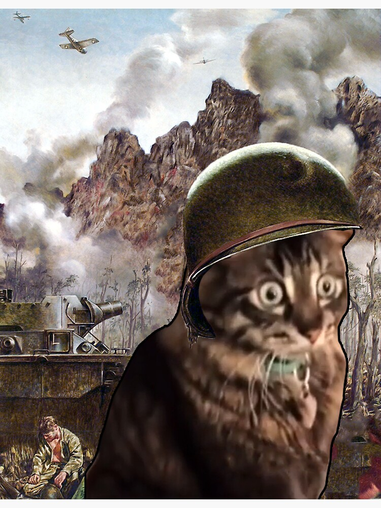 PTSD Meme, Explained