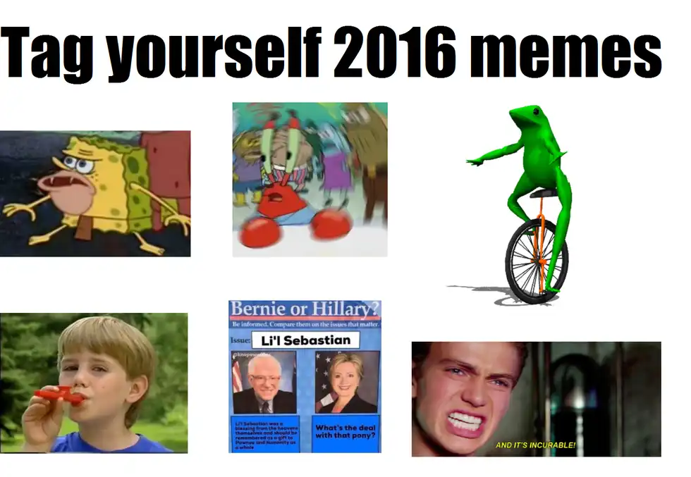 The 2016 Meme, Explained