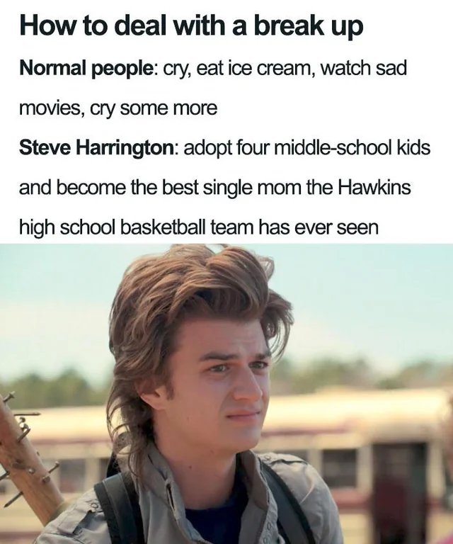 Steve Harrington Meme, Explained