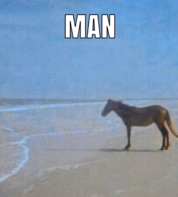 Man Horse Meme, Explained