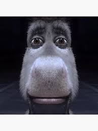 Donkey Staring Meme, Explained