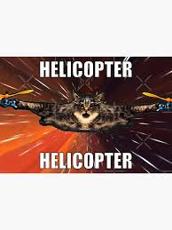 Helicopter Helicopter Meme, Explained