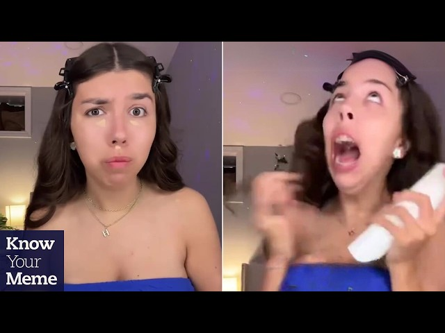 Fine Shyt Meme, Explained