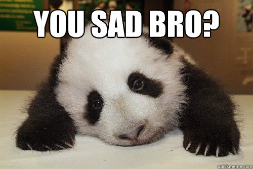 You Sad Bro Meme, Explained