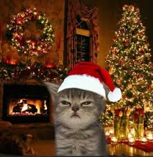 Merry Chrostmas Meme, Explained