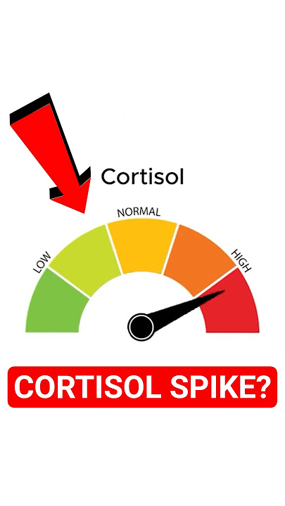 High Cortisol Meme, Explained