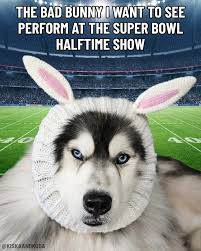 Bad Bunny Super Bowl Meme, Explained