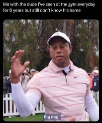 Big Dawg Meme, Explained