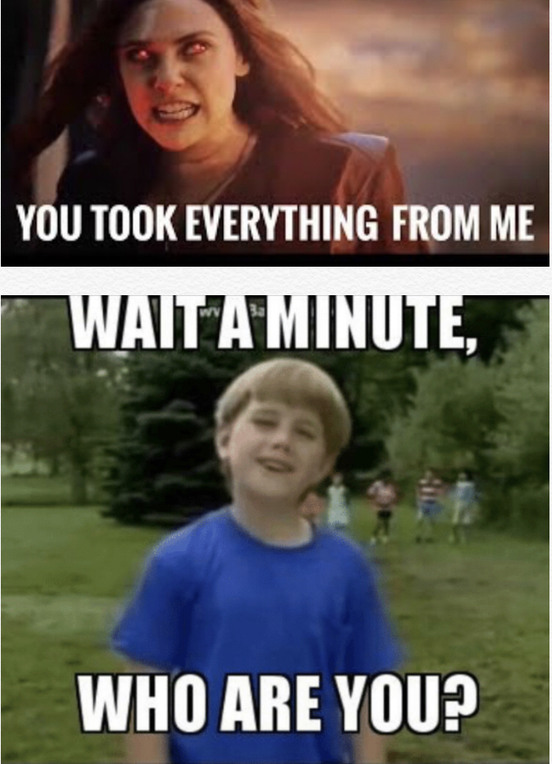 Who Are You Meme, Explained