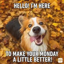 Monday Meme, Explained