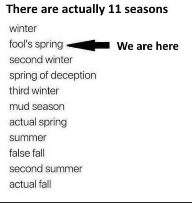 Fake Spring Meme, Explained