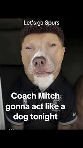 Mitch Johnson Dog Meme, Explained