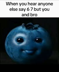 Blueberry Meme, Explained