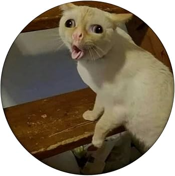 Cat Coughing Meme, Explained