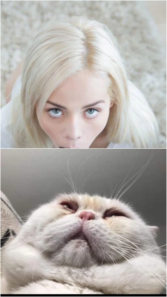 "What Did He See" Meme, Explained