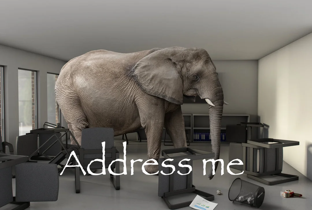 Address Me Elephant Meme, Explained