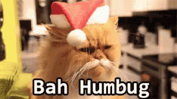 Bah Humbug Meme, Explained