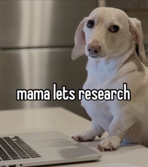 “Mama, Let’s Research” Meme, Explained