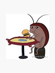 Roach Meme, Explained