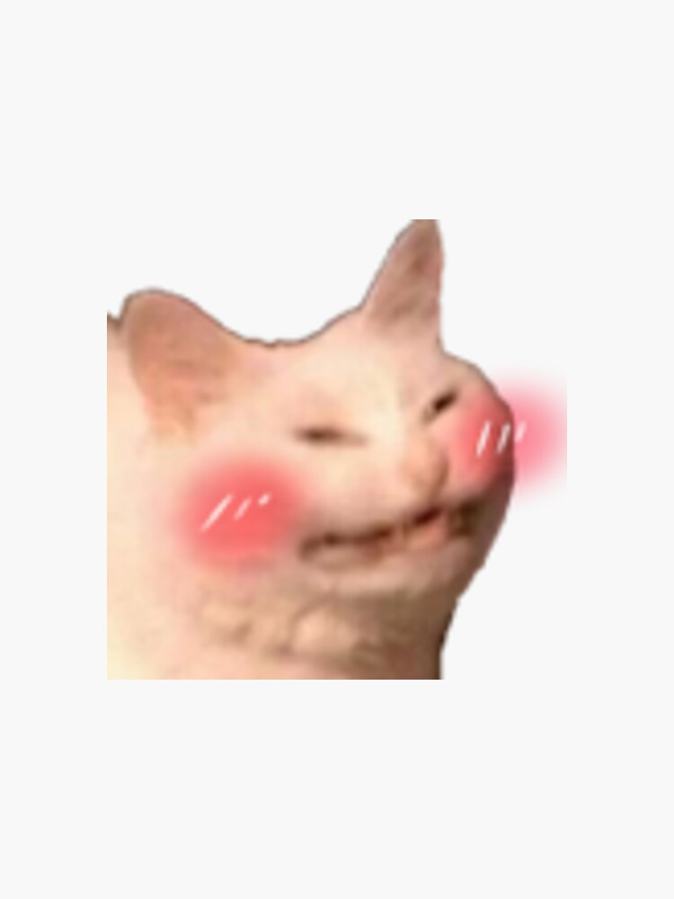 Blushing Meme, Explained