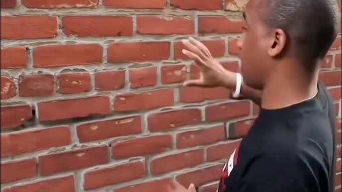 Talking to a Brick Wall Meme, Explained