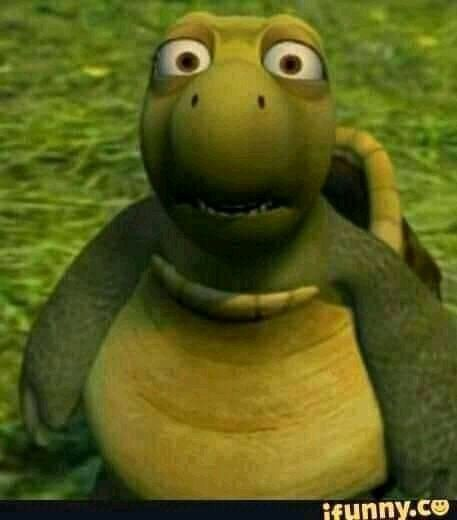 Scared Turtle Meme, Explained