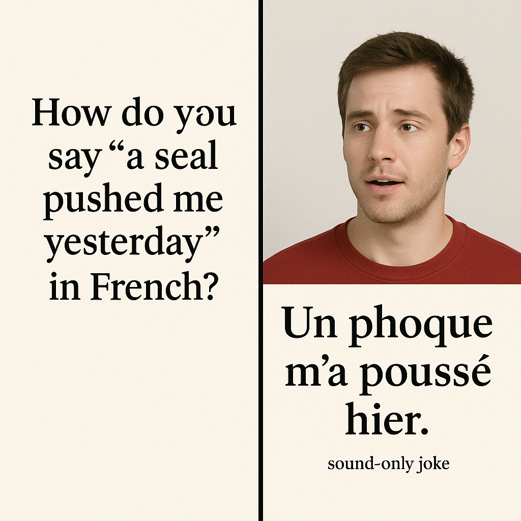 The “A Seal Pushed Me Yesterday” French Meme, Explained