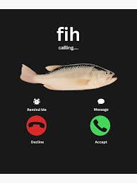 Fih Meme, Explained