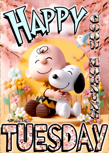 Happy Tuesday Meme, Explained