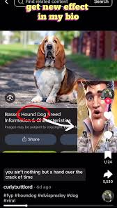 Hound Dog Meme, Explained