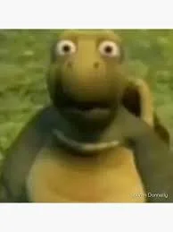 Over The Hedge Turtle Meme, Explained