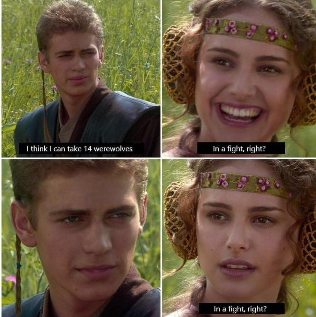 14 Werewolves Meme, Explained