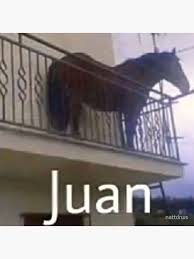 Juan Horse Meme, Explained