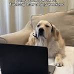 Tuesday After Long Weekend Meme, Explained