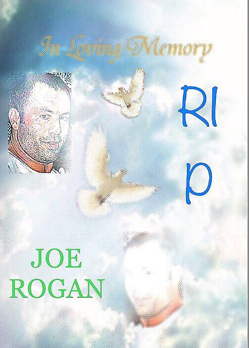 RIP Joe Rogan Meme, Explained