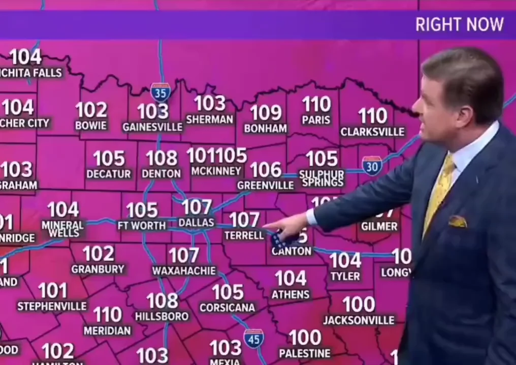 "Everyone in McKinney is Dead" Meme, Explained