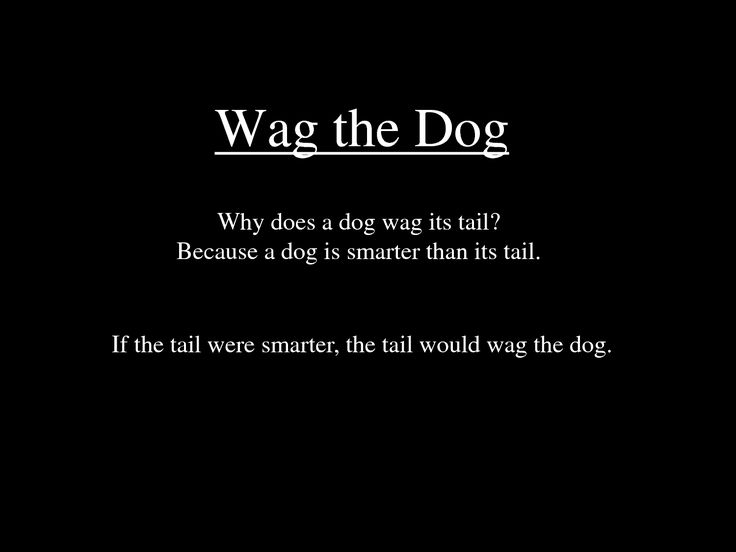 Wag the Dog Meme, Explained