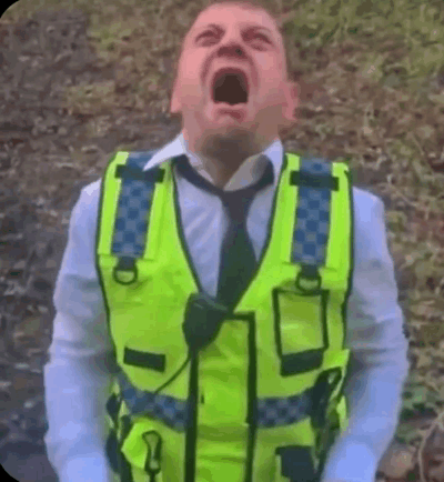 Crashout Meme, Explained