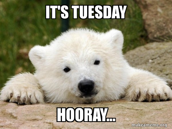 "It's Tuesday" Meme, Explained