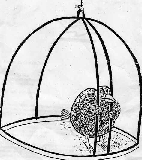 Bird in Cage Meme, Explained