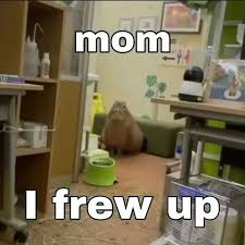 "Mom, I Frew Up" Meme, Explained