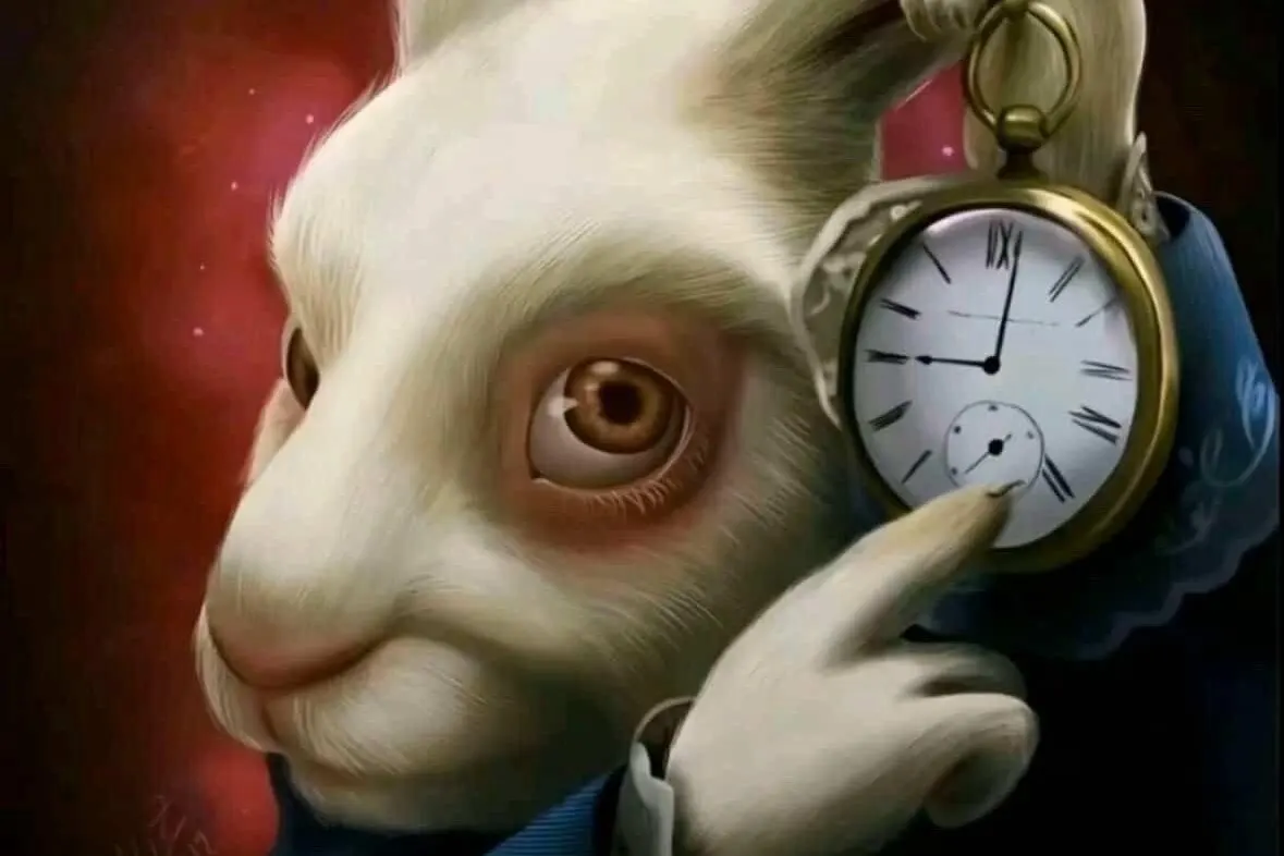 White Rabbit Meme, Explained