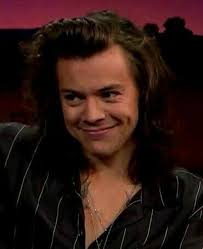 Harry Styles Meme, Explained