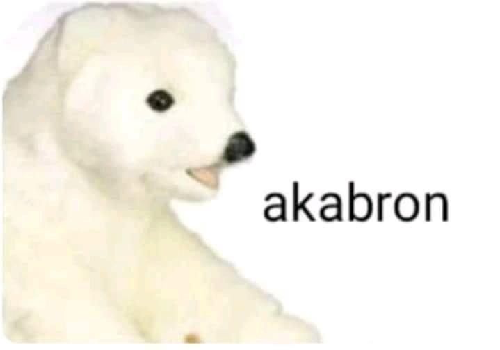 The “Akabron” Meme, Explained