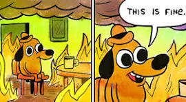 "This Is Fine" Meme, Explained