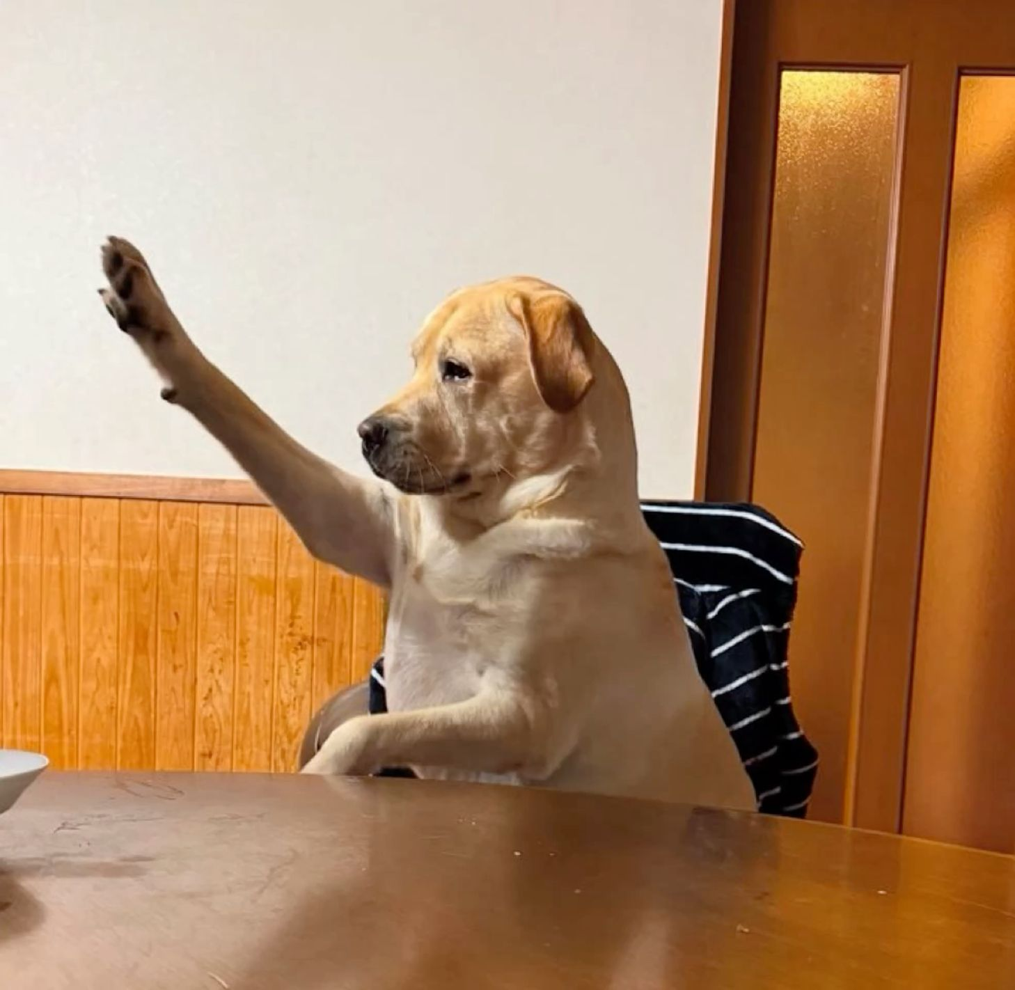 Dog Raising Hand Meme, Explained